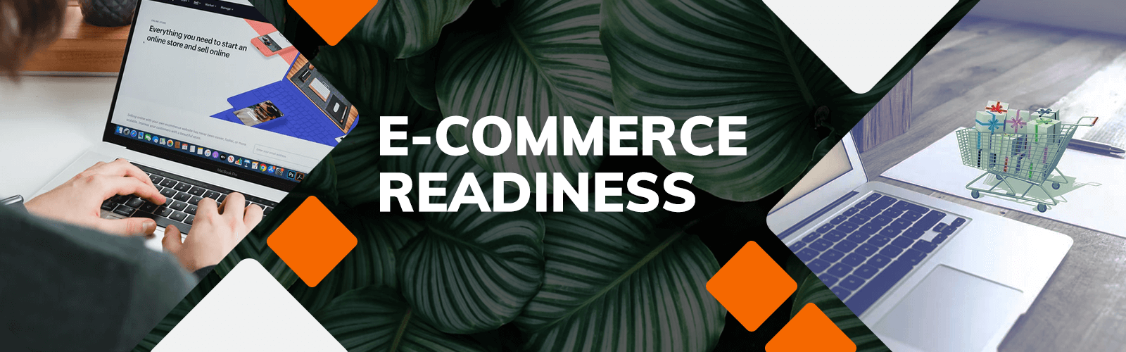 eCommerce is future, are you ready?