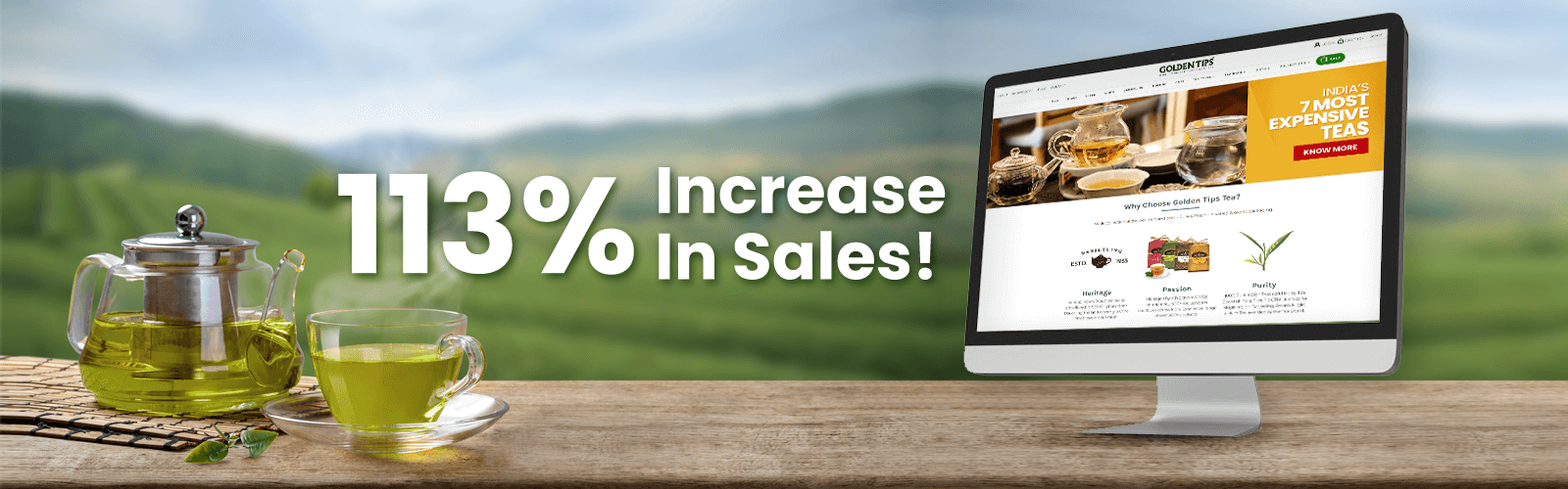 Online Store Digital Marketing (113% Increase In Sales!)